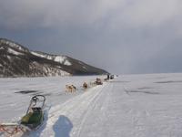 Russland, Baikalsee, Listwjanka, Schlittenhunde-/Schneemobilausflug