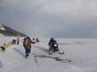 Russland, Baikalsee, Listwjanka, Schlittenhunde-/Schneemobilausflug