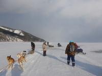 Russland, Baikalsee, Listwjanka, Schlittenhunde-/Schneemobilausflug