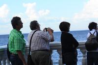 Am Finnischen Meerbusen