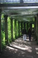 Pergola im Privatgarten im Katharinenpark
