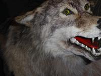 Baikalmuseum Listwjanka