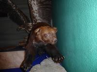 Baikalmuseum Listwjanka