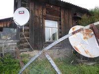 Große Katze oder Fischfalle