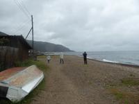 Große Katze oder Fischfalle