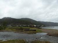 Große Katze oder Fischfalle