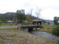 Große Katze oder Fischfalle