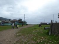 Große Katze oder Fischfalle