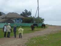 Große Katze oder Fischfalle
