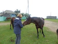 Große Katze oder Fischfalle