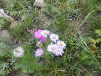 Pribalski Naturreservat