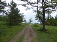 Pribalski Naturreservat