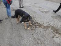 Der Verlierer bekommt eine Spende