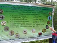 Wie heißt wohl welcher Vogel?