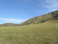 Guten Morgen Sibirien!