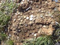 Money, Money, Money...