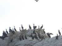 Bootsfahrt auf dem Baikalsee