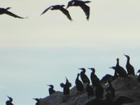 Bootsfahrt auf dem Baikalsee