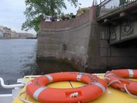 Rußland, St. Petersburg, Vogel Zeisig