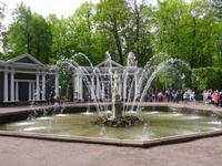 Peterhof - Adam-Fontäne