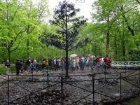 Peterhof - Spaß - Fontäne