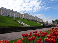 Peterhof , Blick auf den Palast