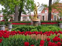 Peterhof, vor dem Schlösschen Mon Plaisir