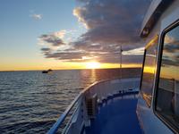 Rußland, Sonnenuntergang auf dem Rybinsker Stausee