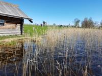 Rußland, Insel Kishi im Onega See