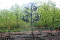 eine Scherzfontäne in Peterhof