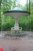 eine der vielen Schärzfontäne in Peterhof