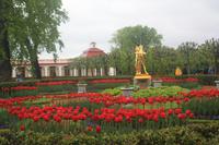 Lieblingsort vom Peter I. - das Schlößchen Monplaisir