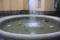 die Scherzfontäne Favoritin