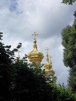 es geht zurück in Richtung Palast