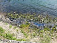 Baikal - beginnt er zu vermüllen?