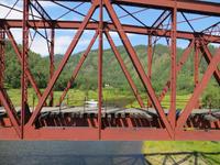 an der Baikalbahntrasse