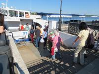 Jaroslawl, Wolgafahrt