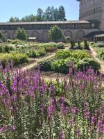 Susdal: Im Erlöser-Euthymios-Kloster - der Kräutergarten