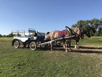 Bogoljubowo: Kutschfahrt zur Maria-Schutz-Kirche am Nerl 