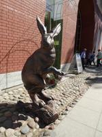 Hase auf der Haseninsel