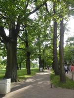 Park des Katharinen Palastes