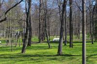 Peterhof im Frühling