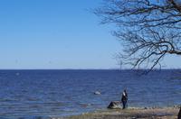 in der Ferne liegt St. Petersburg