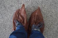 die schönen Überzeieher im Katharinenpalast