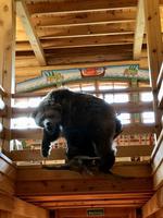 Puschkin: Im Restaurant Podworje