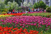 Frühling im Alexander-Garten