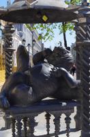 Kasaner Kater - ein Symbol der Stadt