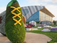 Kasan, Schwimmstadion