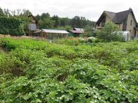 Bauerngarten im Ural