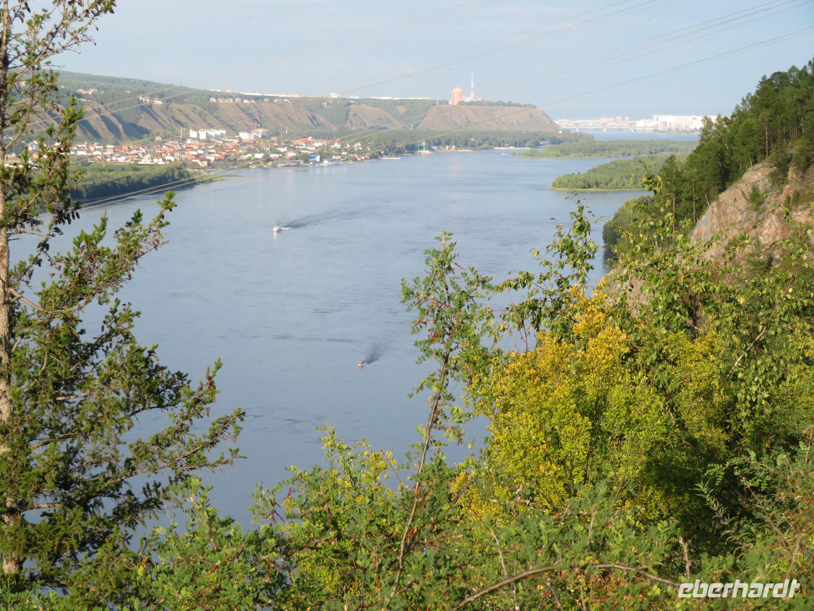 Jenissei vom Zar-Fisch